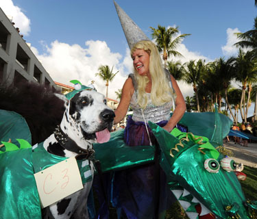 Pet Masquerade and Parade 2010 photo - Duval Street, Key West